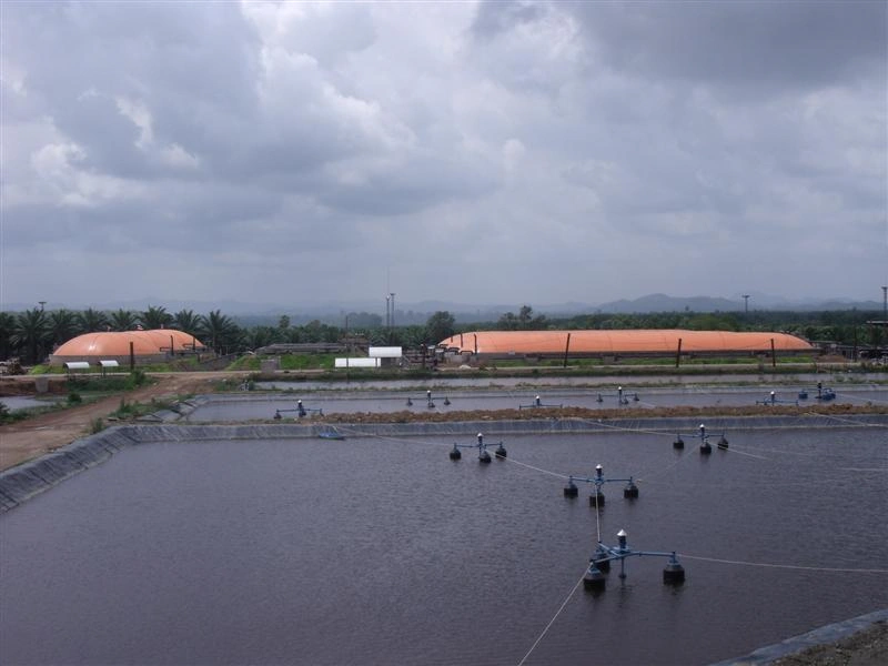 Palm oil effluent management system – 4