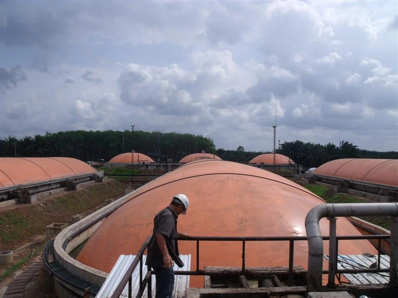 Palm oil effluent management system – 3