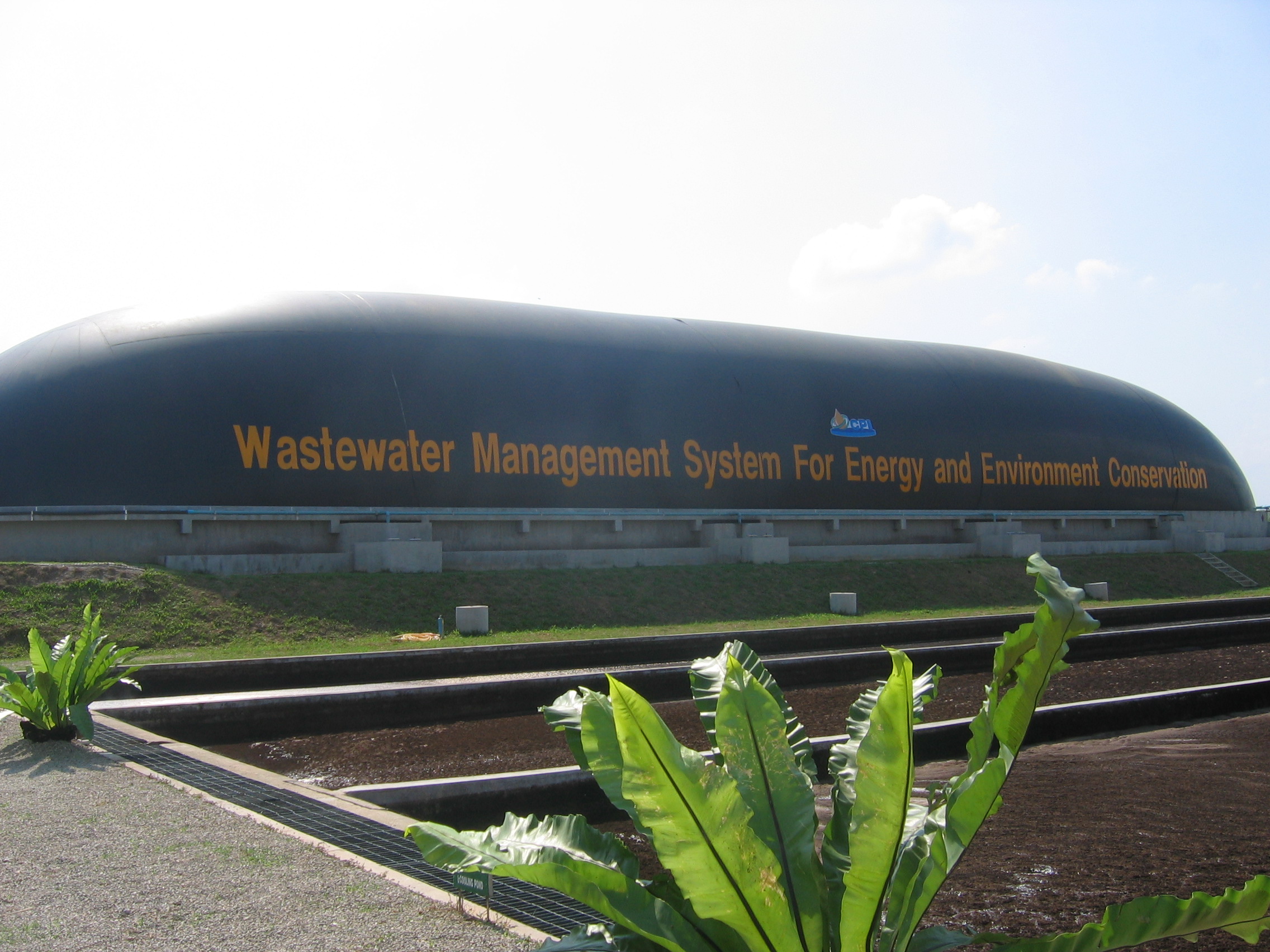 Palm oil Factory