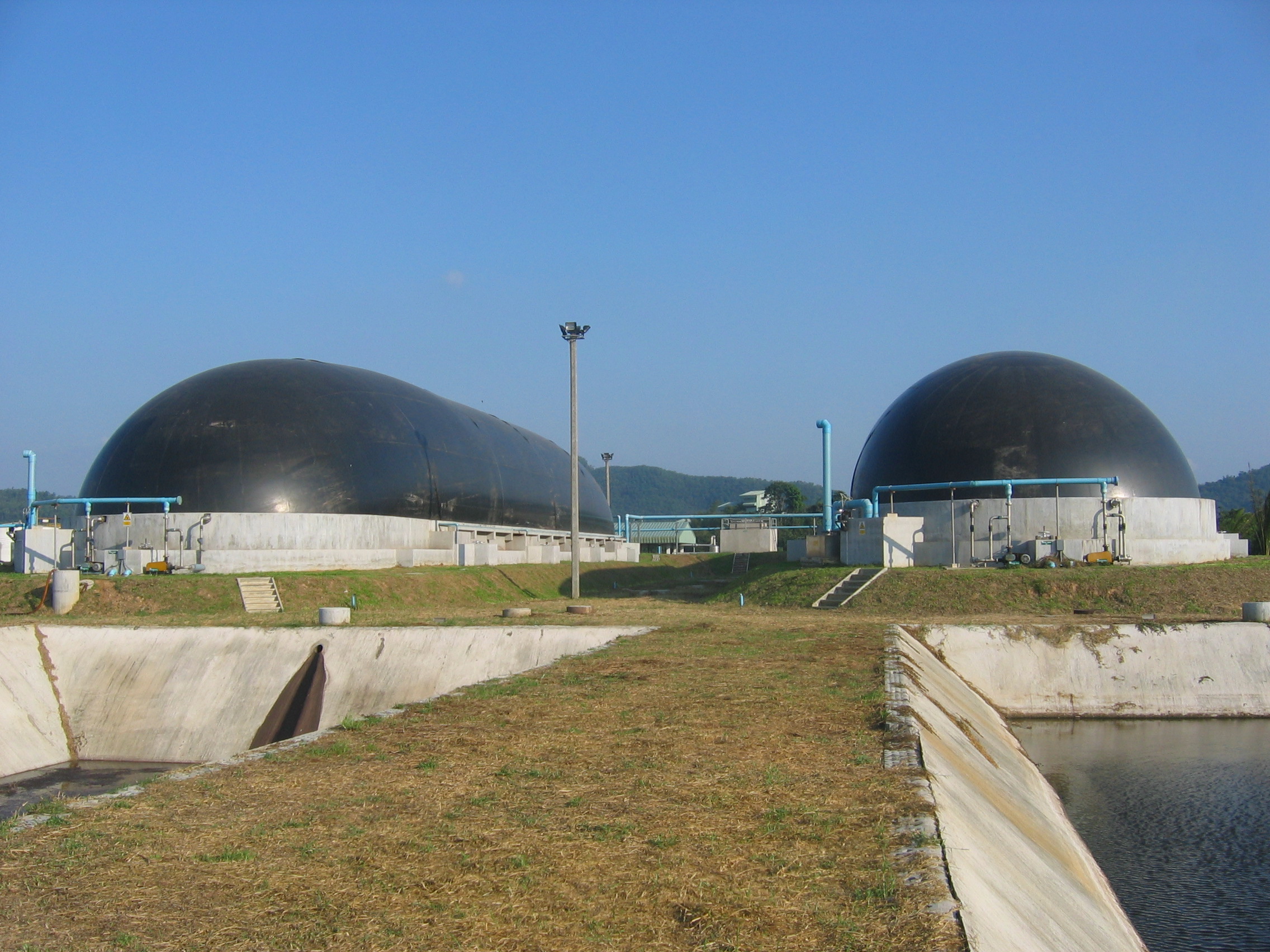 Palm oil Factory