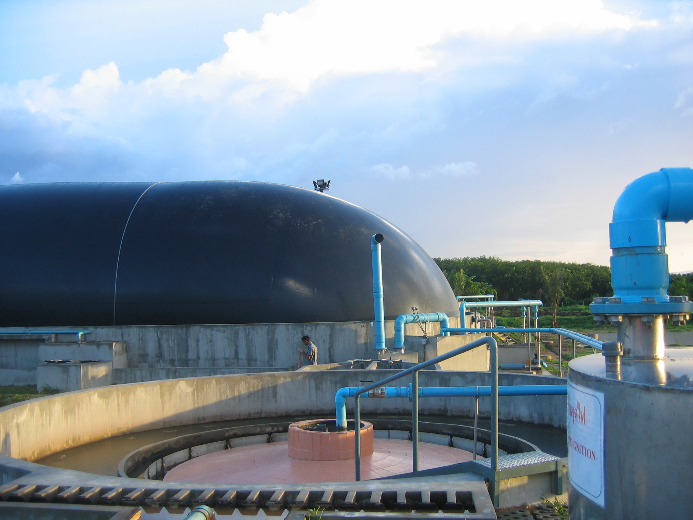 Palm oil Factory