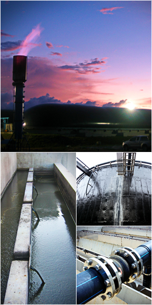 Supervision of construction, system testing and start up